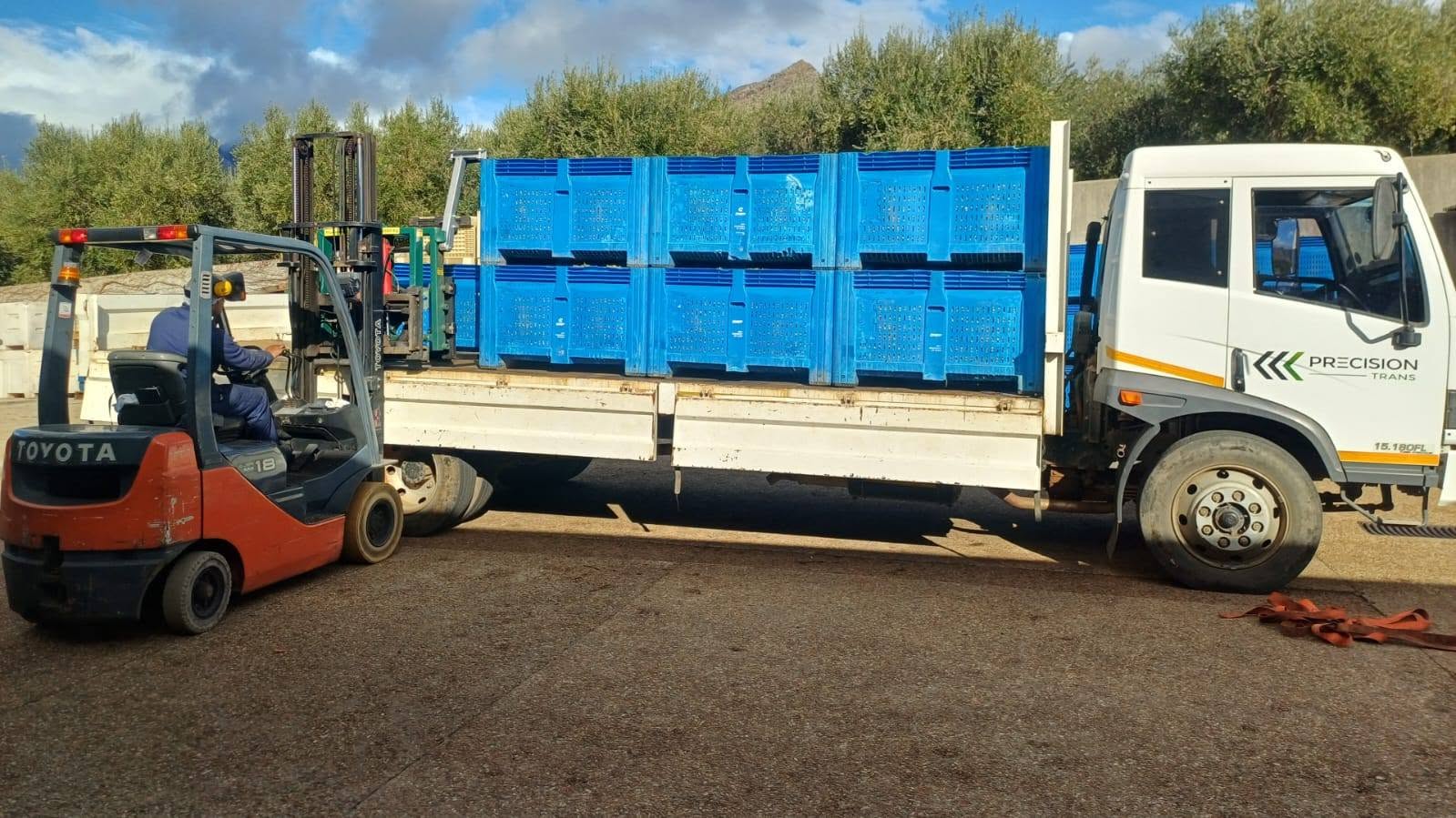 Olive Bins